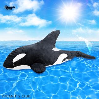 【Aブラック】GIGAシャチ
