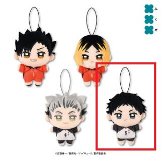 【ハイキュー!!】【D赤葦京治】ハイキュー!! ぬいぷりけmini3