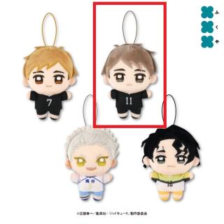 【ハイキュー!!】【B宮治】ハイキュー!! ぬいぷりけmini4