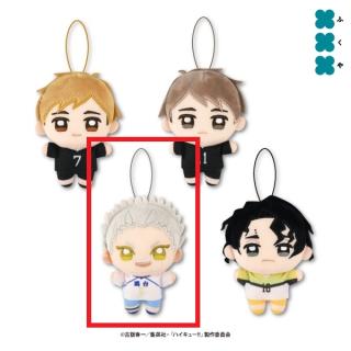 【ハイキュー!!】【C星海光来】ハイキュー!! ぬいぷりけmini4