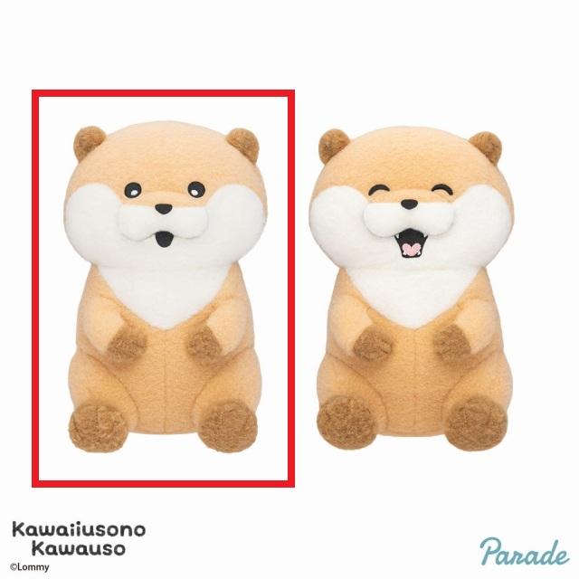 可愛い嘘のカワウソ】【Aノーマル(目開け)】可愛い嘘のカワウソ しー