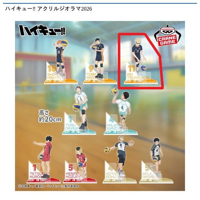 ハイキュー!!】【C月島蛍】ハイキュー!! アクリルジオラマ2026