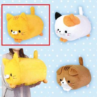 【Bとらねこ】ころころらいふ　にゃんこ　びっぐ