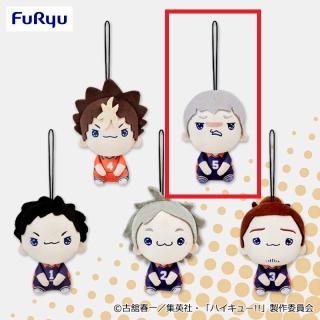 ハイキュー!!】【C澤村大地】ハイキュー!! もちぴこマスコットvol.2