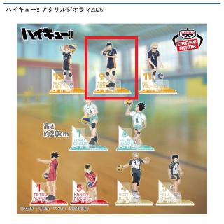 ハイキュー!!】【D及川徹】ハイキュー!! アクリルジオラマ2026