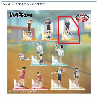 【ハイキュー!!】【C月島蛍】ハイキュー!! アクリルジオラマ2026
