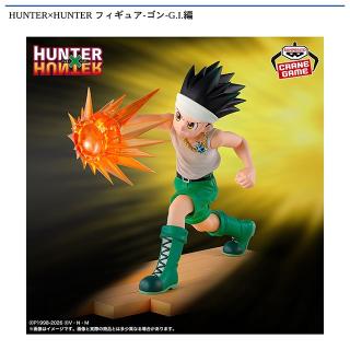 【HUNTER×HUNTER】【HUNTER×HUNTER ゴン】HUNTER×HUNTER フィギュア-ゴン-G.I.編