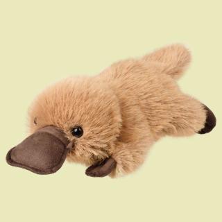 【Bブラウン】なかよしこよしカモノハシ おっきめ