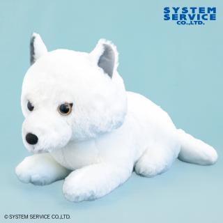 【FANS】FANS ホッキョクギツネぬいぐるみXL プレミアム