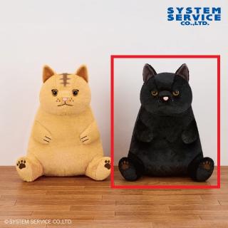 【FANS】【B黒】FANS ぽっちゃりぬいぐるみXL～ねこ～