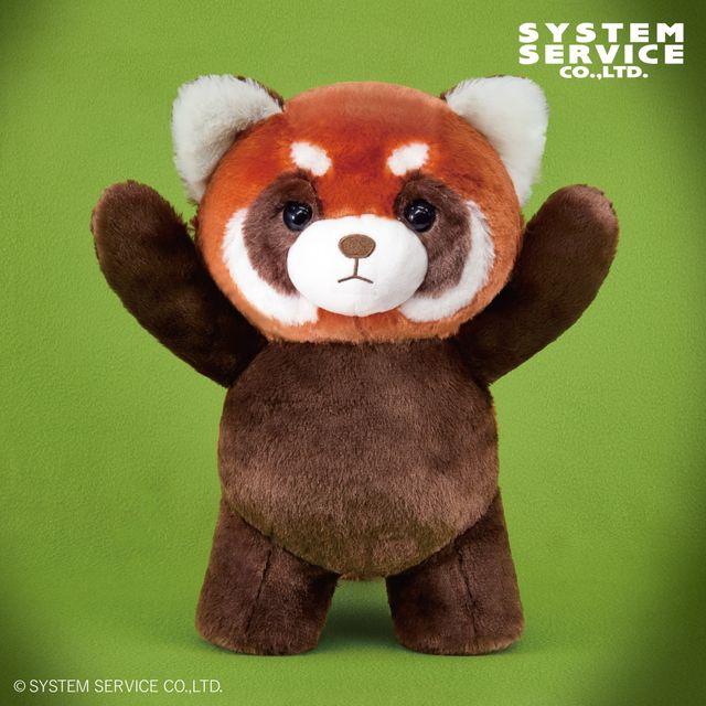 FANS】FANS レッサーパンダぬいぐるみXL プレミアム | クレーンゲーム