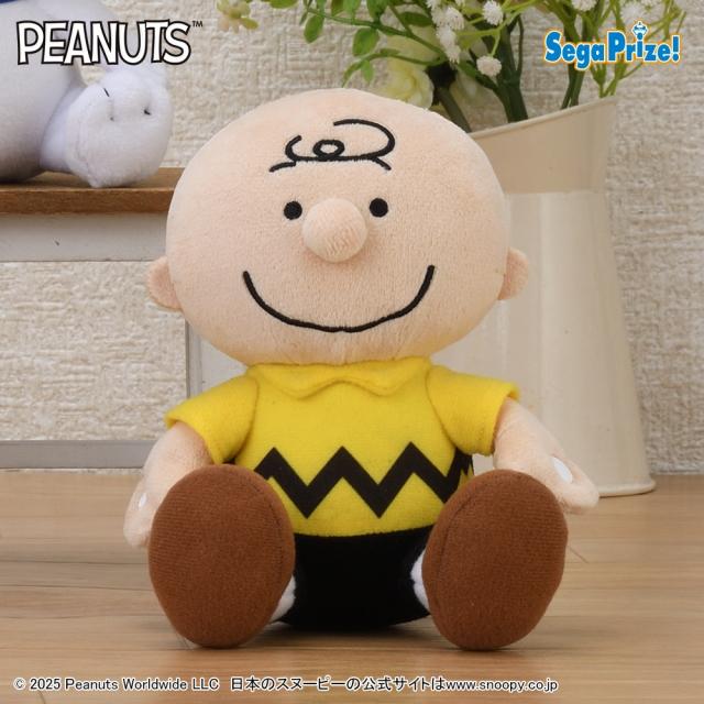 スヌーピー】【Dチャーリー・ブラウン】SNOOPY(TM) ぬいぐるみ