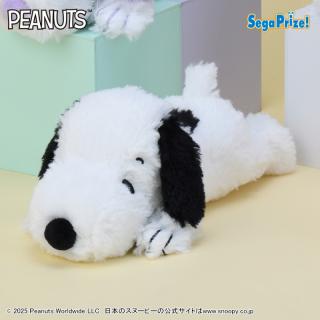 【スヌーピー】【Cブラック】SNOOPY(TM)　ぬいぐるみ　くたっとカラフル（EX）
