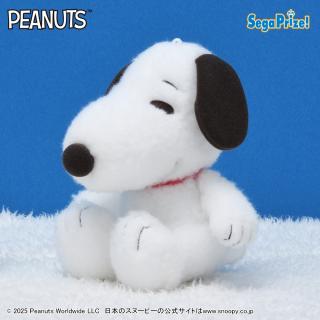 【スヌーピー】【Cスヌーピー】SNOOPY(TM)　ぬいぐるみ　もこふわ（EX）
