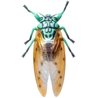 【成虫】リアルBIGサイズフィギュア ミンミンゼミ ～成虫～