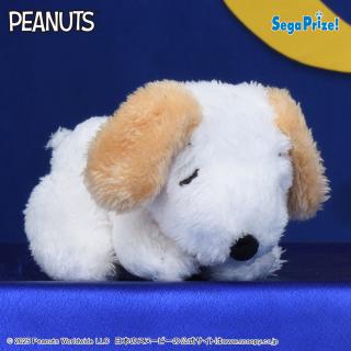 【スヌーピー】【Dアンディ】SNOOPY(TM)　マスコット　すやすやどり～む