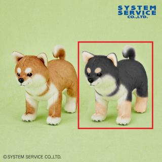 【FANS】【B黒毛】FANS 柴犬ぬいぐるみBIG