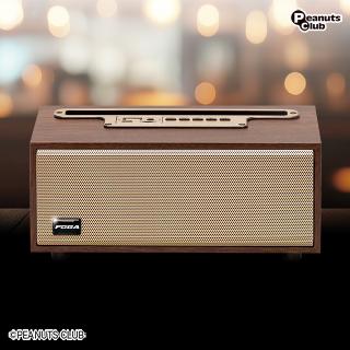 【家電製品(プライズ)】【Bダークブラウン】ウッドスピーカーFUGA 6
