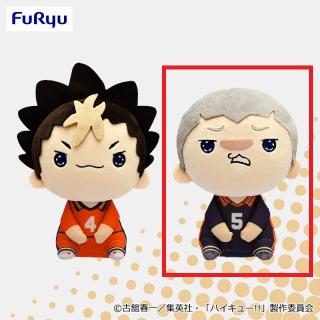【ハイキュー!!】【B田中龍之介】ハイキュー!! もちぴこぬいぐるみ④