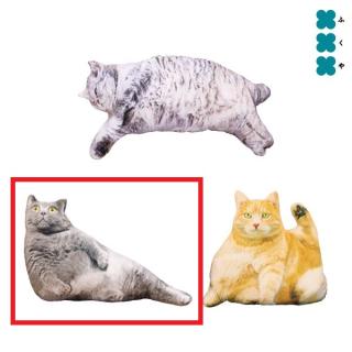 【Aおどろき猫】リアルでぶ猫クッション2