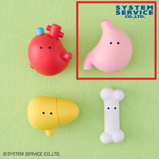 【FANS】【Bい】FANS もちもち！にんげんのからだ スクイーズ