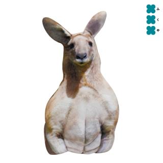 リアルカンガルークッション