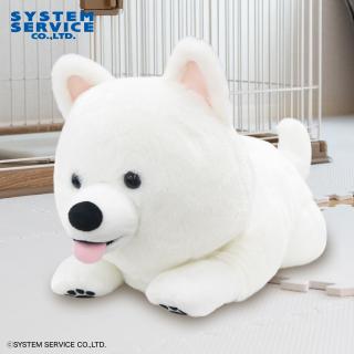 【FANS】FANS サモエドの子犬ぬいぐるみXL プレミアム
