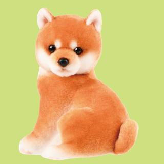 【Aこむぎ(濃茶)】こっちおいで！しば犬