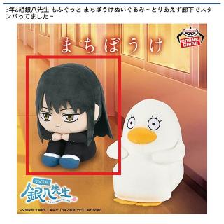 【銀魂】【A桂小太郎】3年Z組銀八先生 もふぐっと まちぼうけぬいぐるみ～とりあえず廊下でスタンバってました～
