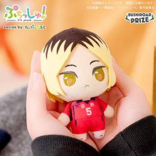 【ハイキュー!!】【B孤爪研磨】ぷちっしゅ！ ハイキュー!! vol.2