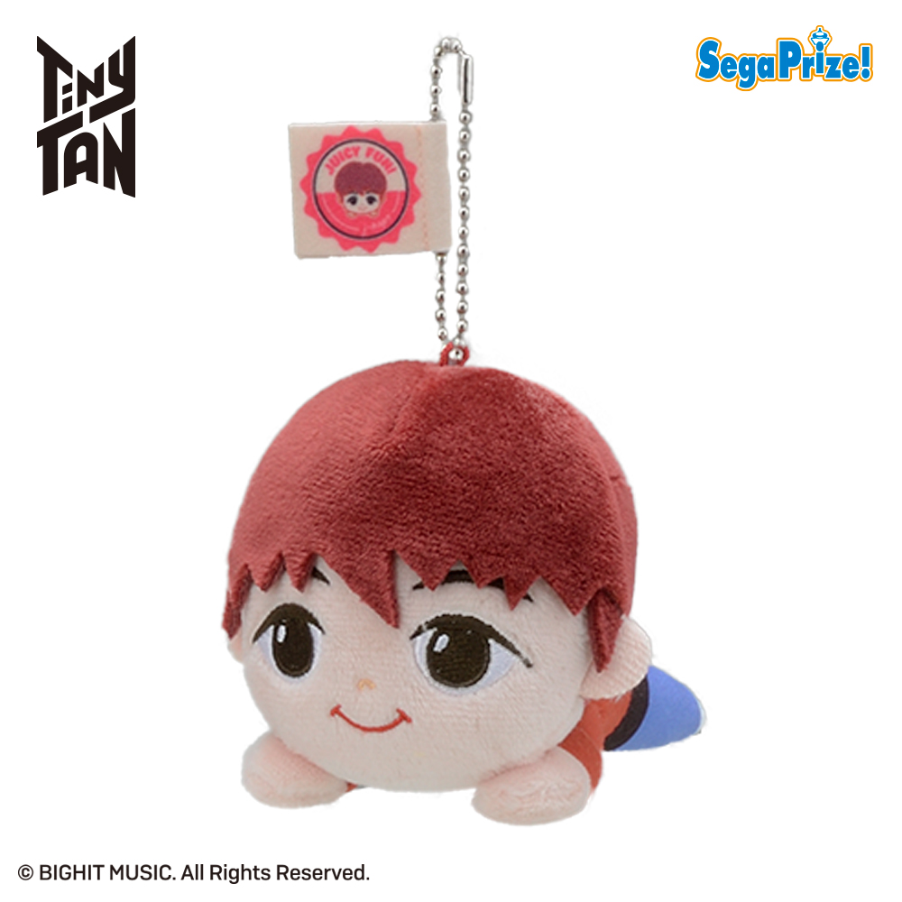 【TinyTAN】【セット配送】【D:j-hope】TinyTAN TinyMART 寝そべり [MP]マスコット“RM＆Jin＆SUGA＆j-hope”