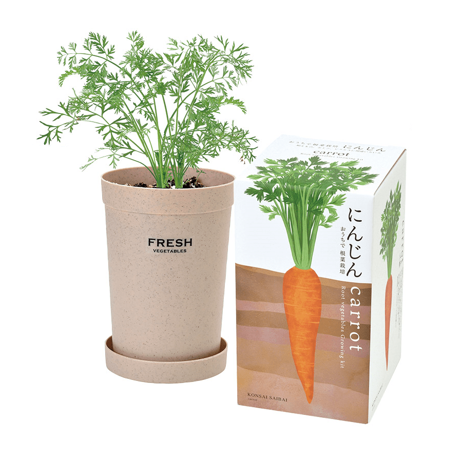 【B:にんじん】おうちで根野菜栽培セット