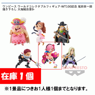 【ワンピース】【Dヴィンスモーク・レイジュ】ワンピース ワールドコレクタブルフィギュア-WT100記念 尾田栄一郎描き下ろし 大海賊百景9-