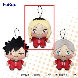 【ハイキュー!!】【B孤爪研磨】ハイキュー!! ちょぴぬい②