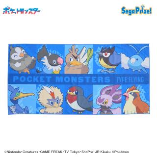 【ポケットモンスター】【セット配送】【Bひこうタイプ】ポケットモンスター　[PM]バスタオル　～ドラゴン＆ひこう～