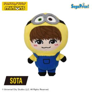 【ミニオンズ】【B:SOTA】FANTASTICS×MINION　ミニぬいぐるみ～着ぐるみデザインVer.2～（EX）
