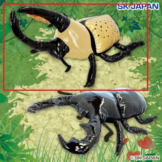 【Aティティウスシロカブトムシ】超リアル！カブトVSクワガタBIG3