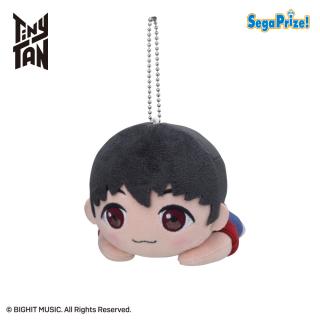 【TinyTAN】【D:j-hope】TinyTAN 寝そべり ぬいぐるみ～Dynamite～“RM＆Jin＆SUGA＆j-hope”