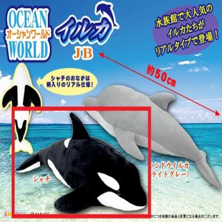 【Bシャチ】オーシャンワールドイルカJB
