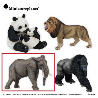 【Cアフリカゾウ】ミニチュアプラネット動物インフィニティ