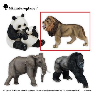 【Dライオン】ミニチュアプラネット動物インフィニティ