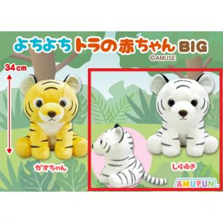 【Bしらゆき】よちよちトラの赤ちゃんBIG