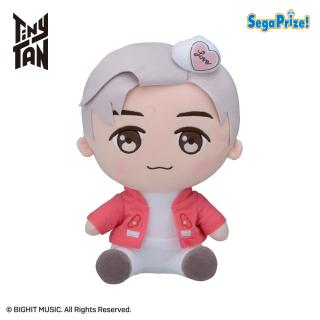 【TinyTAN】【セット配送】【A:RM】TinyTAN Sweet Time [SP]おすわりぬいぐるみ“RM＆Jin”