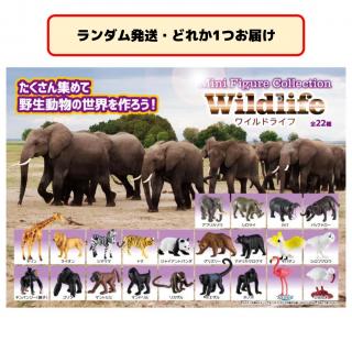 【セット配送】【ランダム発送(種類選択不可)】ミニフィギュアコレクション Wildlife（ワイルドライフ）