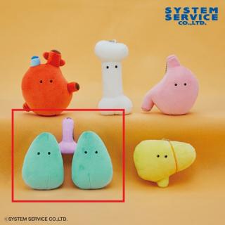 【FANS】【D肺(緑)】FANS ボールチェーン付きにんげんのからだぬいぐるみ