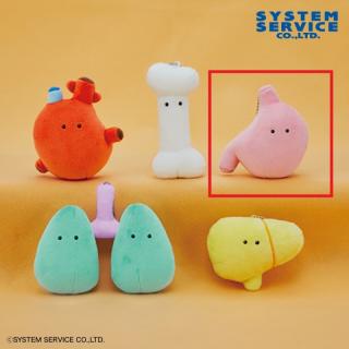 【FANS】【C胃(ピンク)】FANS ボールチェーン付きにんげんのからだぬいぐるみ