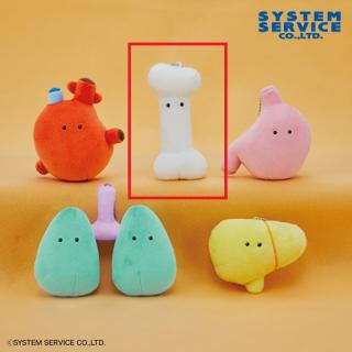 【FANS】【B大腿骨(白)】FANS ボールチェーン付きにんげんのからだぬいぐるみ