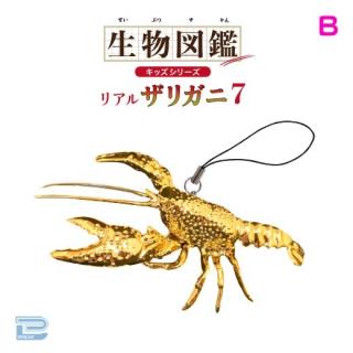 【Bメッキゴールド】生物図鑑キッズシリーズリアルザリガニ7