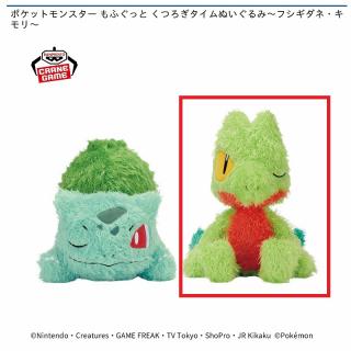 【ポケットモンスター】【Bキモリ】ポケットモンスター もふぐっと くつろぎタイムぬいぐるみ～フシギダネ・キモリ～