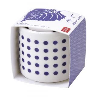 【Aしそ】おちょこで薬味栽培セット